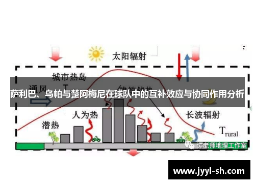 萨利巴、乌帕与楚阿梅尼在球队中的互补效应与协同作用分析
